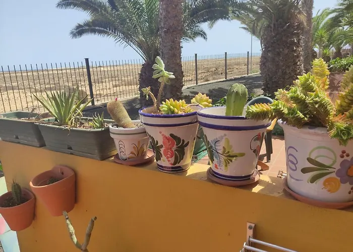 Marenazul * Κοραλέχο